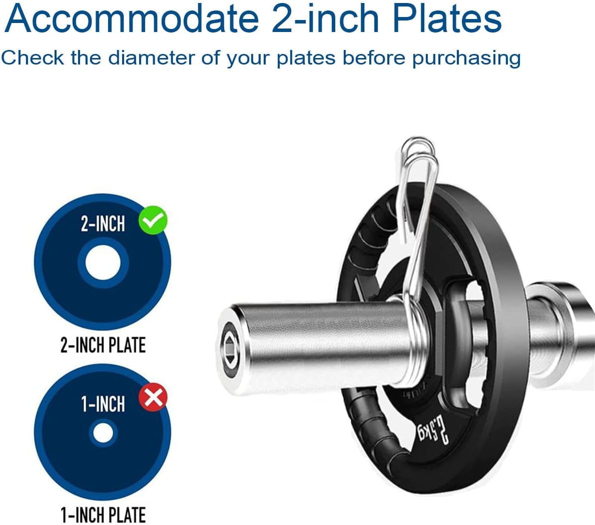 Olympic EZ Curl Barbell Bar, 47" EZ Curl Bar for Weight Lifting, Biceps, triceps, Back/Leg Muscle Group exercise,Chrome Curling Bar for 2 Inch Weight Plates,with 2 Spring Collars