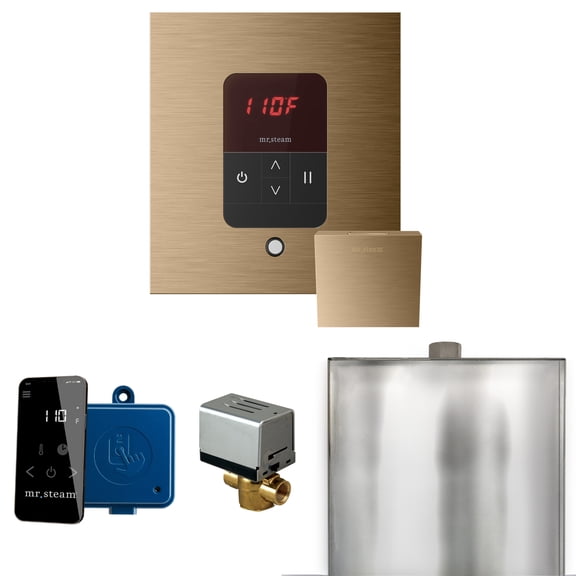 Mr Steam Basic Butler Steam Shower Ctrl Pkg w/Square iTempo Control and Steamhead in Brushed Bronze