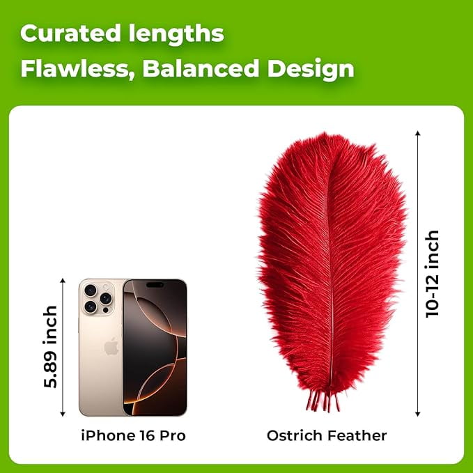 Piokio 40pcs Natural Red Ostrich Feathers 10-12 inch (25-30cm) Bulk Feathers for Wedding Party Centerpieces, Home Decoration and DIY Clothing, Gatsby Decorations