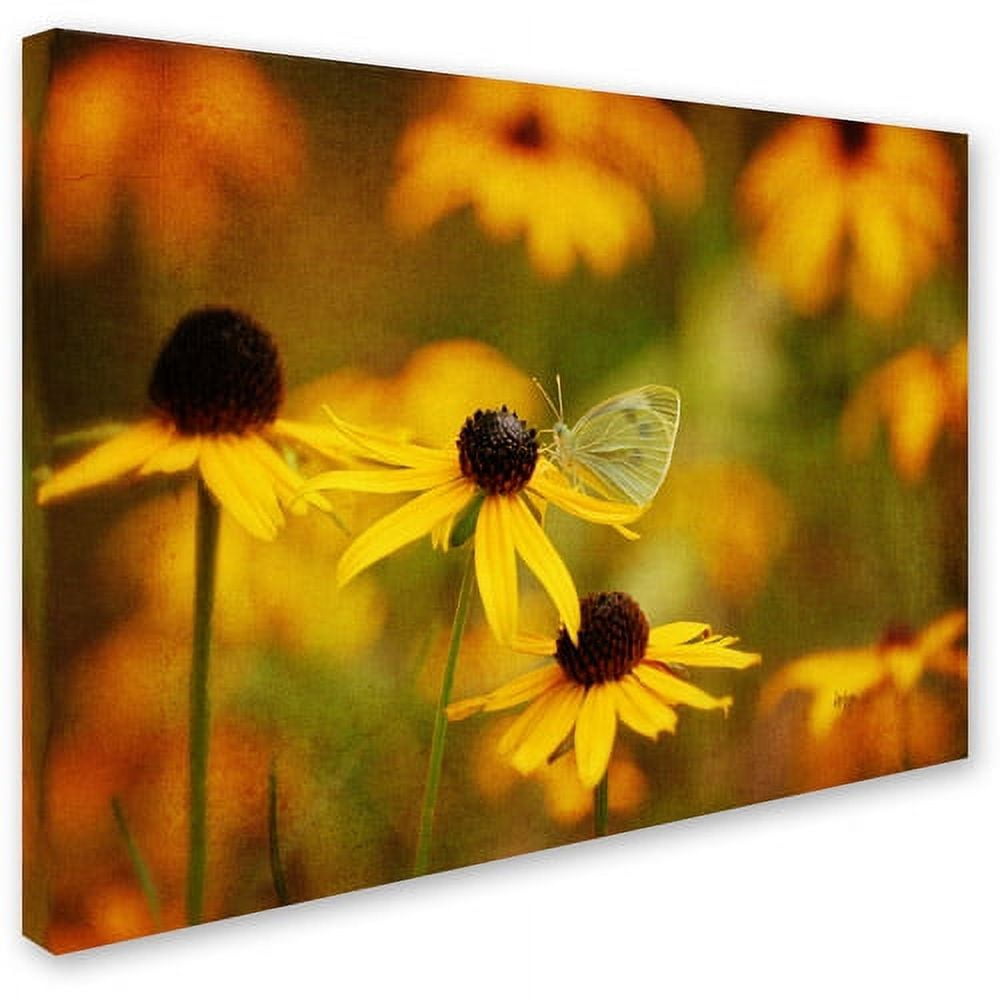 Trademark Fine Art "Abundance" Canvas Art by Lois Bryan