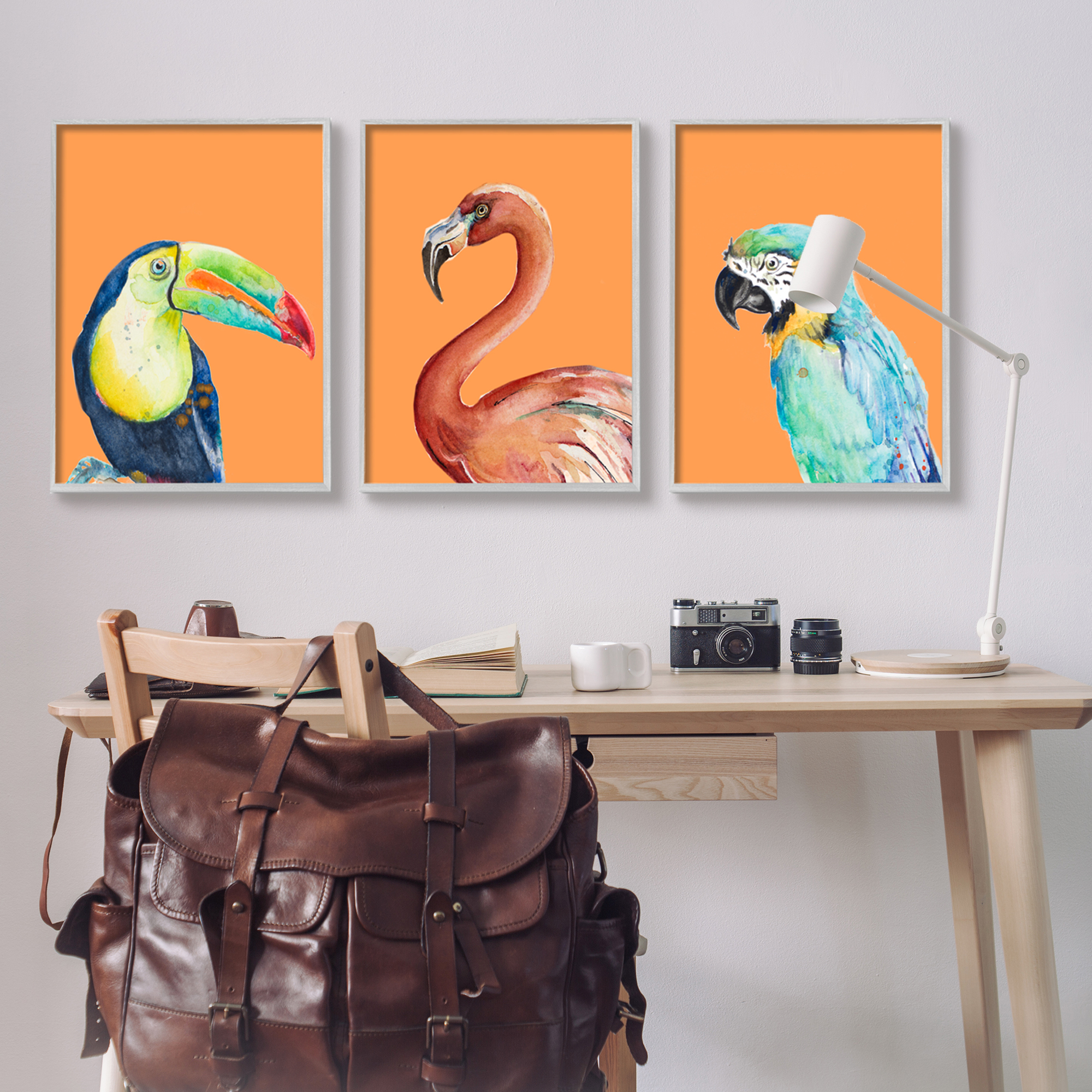 Stupell Industries Bold Tropical Birds Rainforest Animals Toucan Parrot Graphic Art Gray Framed Art Print Wall Art, Set of 3, Design by Patricia Pinto
