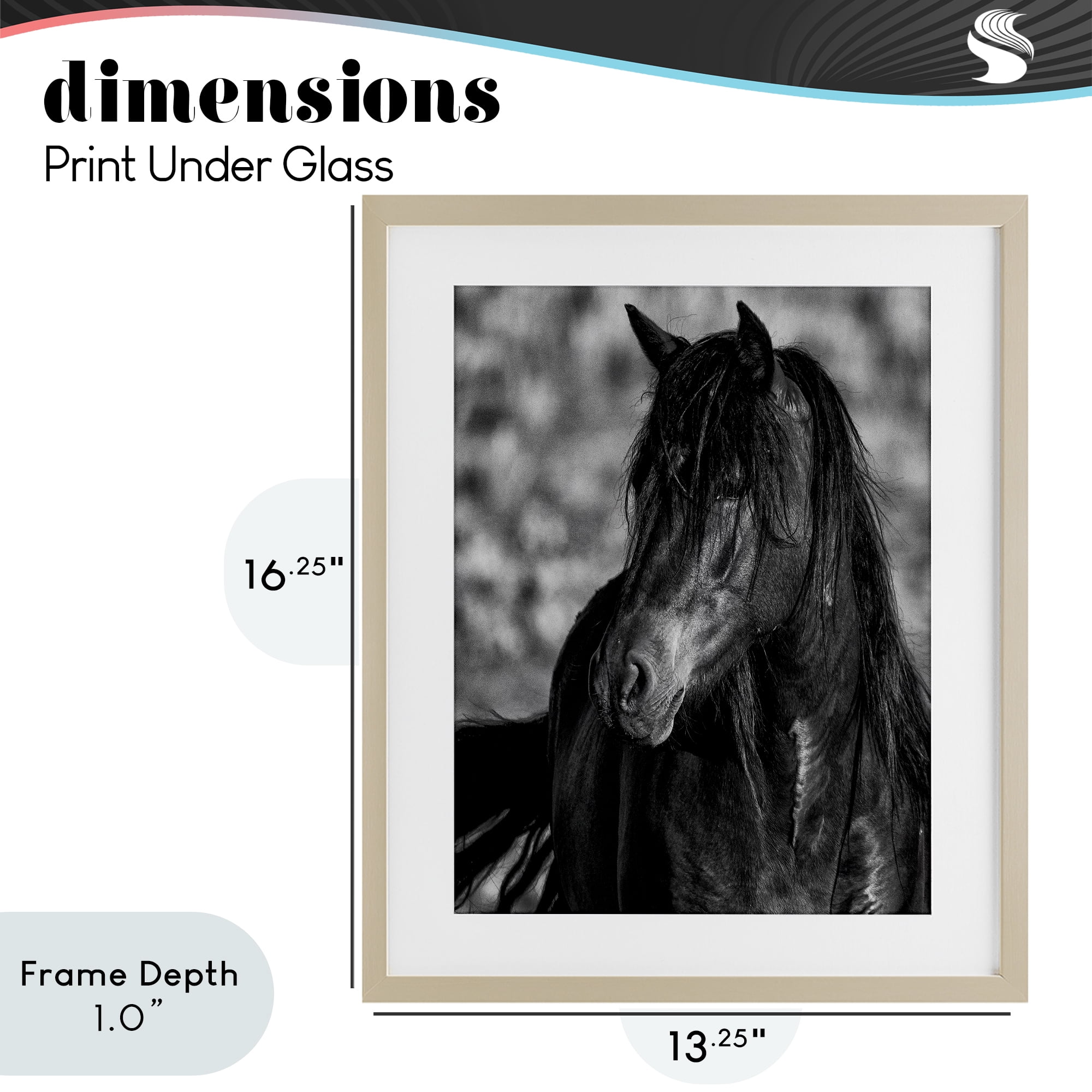 Stupell Industries Beauty In Black Birch Framed Print Under Glass, design by Tim West
