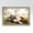 Holden, variant on 11x15 Dark Brown Real Wood Picture Frame Width 1.25 inches | Interior Frame Depth 0.5 inches |