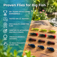 Panfish Png Red 12 Pack Bead Head Wet Fly Fishing Flies for Trout and Panfish ...
