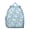 Sky-blue-12, variant on Map Student Backpack – Gothic Celestial Moon And Star Steampunk Cosmic Lunar Eclipse Solar Astral Dark Mystical Design