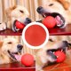 thumbnail image 5 of Pelota De Entrenamiento Para Mascotas, Juguete De Pelota Para Mascotas Ecológico No Tóxico, Jugando Para Masticar Cachorros De Perros ANGGREK Otros, 5 of 6