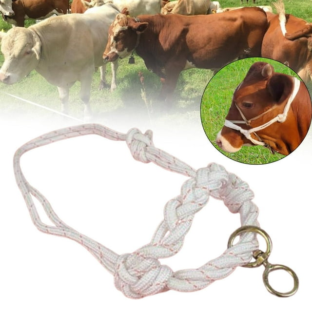 Accesorios de brida de toro Halter de , herramientas de engranajes de Control profesional para granjas de ganado domésticas, pantorrilla al aire Trenzado Pequeño