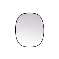 30 x 36 in. Metal Frame Oval Mirror, Black