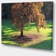 thumbnail image 2 of Lonely Beautiful Autumn Tree, 2 of 3