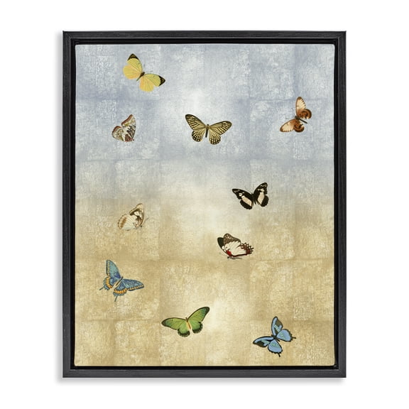 Stupell Industries Eclectic Various Butterfly Insect Pattern Black Floating Frame Canvas Art, 25 x 31, by Tina Blakely