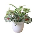 thumbnail image 1 of Artificial Potted Plant Leaf Simulation Leaves Home Office Desktop Greenery Decoration, 1 of 4