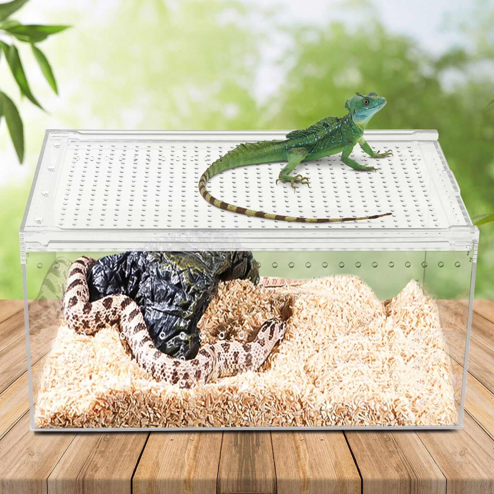 AIICIOO reptile Feeding Box, 8*4*4 Acrylic Reptile Enclosure Transparent  Reptile Pet Breeding Case for Spider, Lizard, Scorpion, Centipede, Horned  Frog, Beetle. 