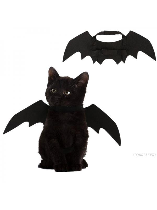 bat cat plush
