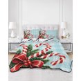 thumbnail image 2 of Twin XL Quilt Bedding Set, Christmas Reversible Summer Quilt 3 Pieces, Xmas Canes Berries Pine Cone Blue Plaid Lightweight Bedspreads Coverlets with 2 Pillow Shams for All Seasons, 2 of 5