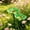 Green-Free Size/GN, variant on Flower Shaped Pollinator Waterer Feeder With Metal Stake Outdoor Garden Decor Butterfly Hummingbird Feeder For Yard Backyard Patio Insect Waterer