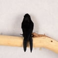 thumbnail image 6 of Farfi Crow Ornaments Eye-catching Delicate Texture Feather Handmade Fake Crow Halloween Decor for Home (Black), 6 of 10
