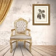 thumbnail image 3 of Vision Studio 15x18 Gold Ornate Wood Framed with Double Matting Museum Art Print Titled - Sepia Botanicals III, 3 of 4
