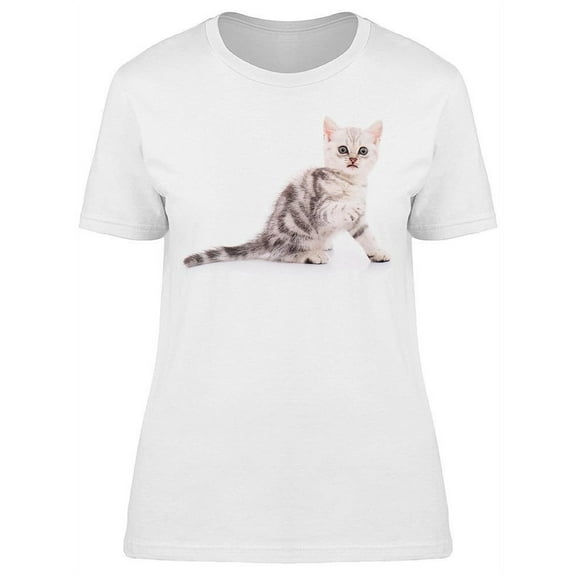 Cute Shorthaired Kitten Sits T-Shirt Women -Image by Shutterstock, Female Medium
