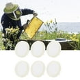 thumbnail image 4 of Bee Cage, Small In Size Beekeeping Tool Lightweight 10Pcs Wear  Safe  for Beekeeping for Beekeepers, 4 of 8
