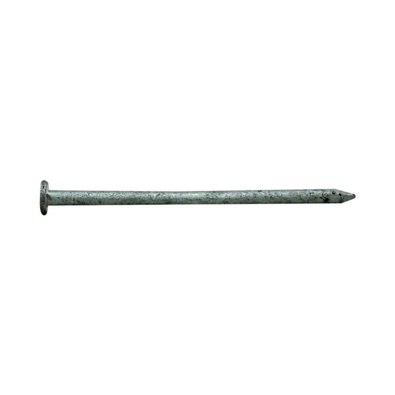 Pro-Fit 4 in. Galvanized Nail 5 lb Pro-Fit 4 in. Galvanized Nail 5 lb