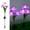 Purple, variant on TERGAYEE Solar Garden Lights Outdoor,Solar Garden Lights with Daffodil Flowers Solar Garden Stake Lights for Garden Patio Yard Pathway Decoration