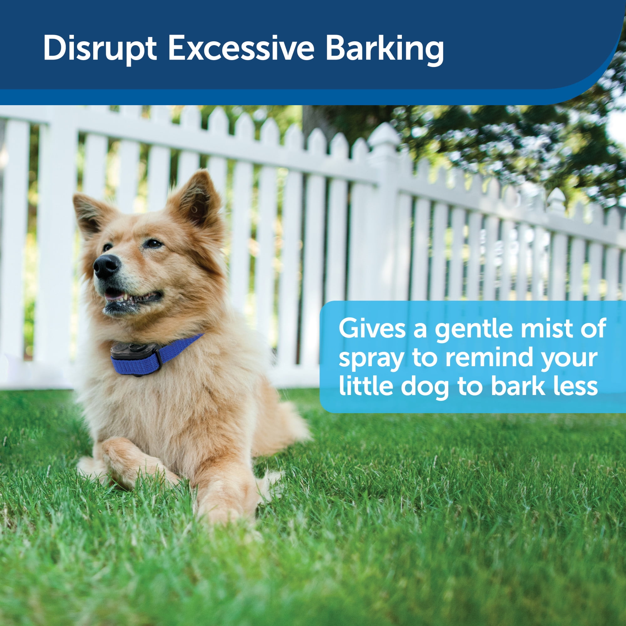 elite little dog spray bark collar