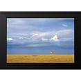thumbnail image 2 of Itoyama, Eiji 24x17 Black Modern Framed Museum Art Print Titled - Colors Of Freedom, 2 of 5