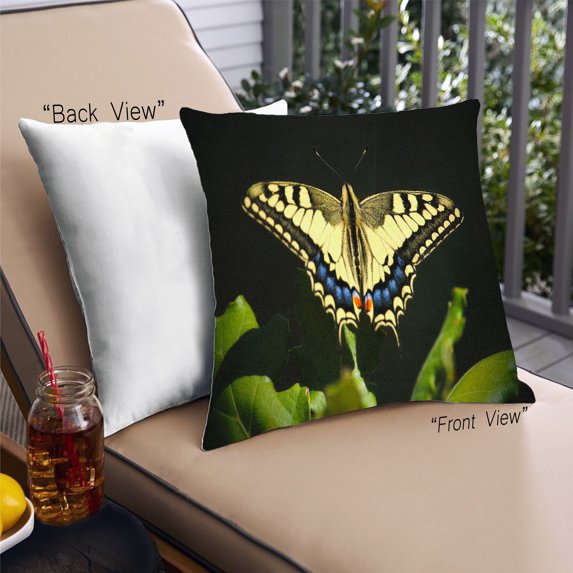 Ahgly Company Insects Butterfly Outdoor Throw Pillow, 18 inch by 18 inch