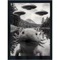 thumbnail image 2 of 1pc Funny Axolotl Selfie With UFOs Weird Axolotls Amphibian T-Shirt Gifts For Men Boy Family YYQ 180g, 2 of 5