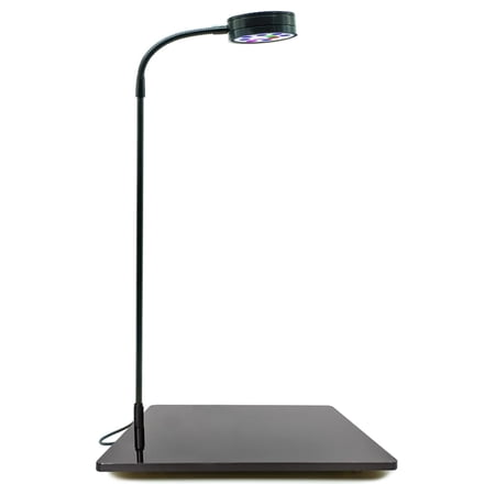 Nano Pro Aquarium LED Light Dimmable Full Marine LED for Saltwater Coral Fish Macroalgae Jars (Large -12Watts (13.5X13in Stand))
