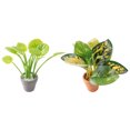 thumbnail image 1 of GOOHOCHY 2 bonsáis en miniatura realistas, plantas artificiales en maceta para el hogar, la oficina, el jardín pequeño, modelo de bonsái, vegetación única para interiores., 1 of 8