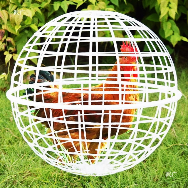 PEONAVET Spherical Chicken Cage 30CM Free Range Chicken Cage Plastic Spherical Chicken Cage Round Rabbits Cage Can Be Rolled for Walking Around In The Scenic Area for Foraging