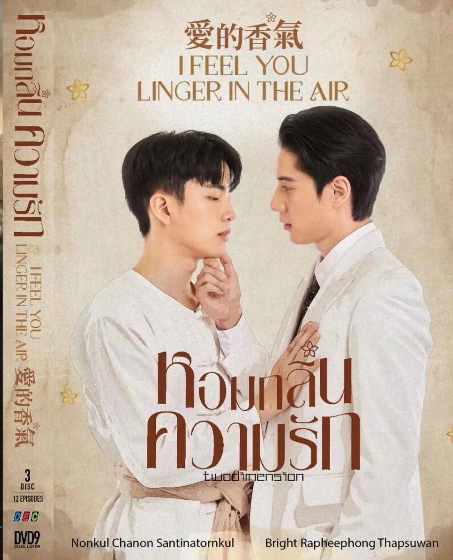 Not Me - Thai TV Show Drama Series -DVD Boxset with English