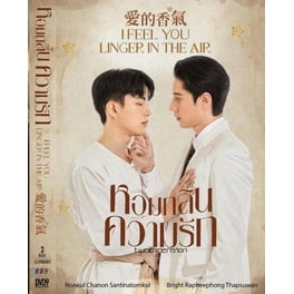 Not Me - Thai TV Show Drama Series -DVD Boxset with English