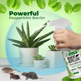 thumbnail image 5 of Mighty Mint 16oz Peppermint Oil Rodent Repellent Spray, 5 of 8