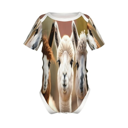 

Coaee Cute Alpaca in Daze for Soft Baby Short-Sleeve Bodysuit Baby Climbing Clothes Baby Girls Boys Bodysuit Romper-6 Months