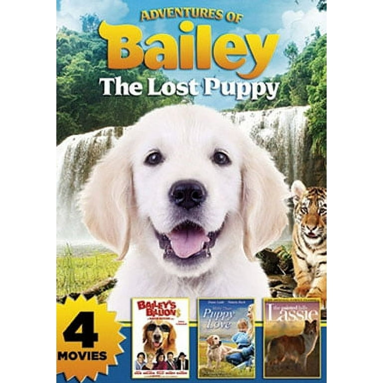 Adventures of Bailey: The Lost Puppy - Walmart.com