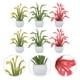 thumbnail image 3 of 6pcs Mini plantas en maceta Mini House Desktop Bonsai Decoration Fake Plant Decor, 3 of 6