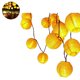 thumbnail image 4 of Linternas De Cadena De Jardín Solar 30 Linternas De Luz De Hadas Ip65 Lámpara De Cadena De Linterna Solar A Prueba De Agua Linterna Luz Led De Cadena Para Jardín Patio Patio Decoración De Fiesta Scienceny HA026783-01, 4 of 6