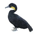 thumbnail image 4 of Figuras de aves de corral artificiales para jardín, gallo, pollo, , Cola Figuras de aves de corral artificiales, 4 of 5