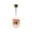Multicolor#3, variant on Clearance! Gspmoly Makeup Kit for Beginners, Eyebrow Set Drying Beauty Semi Permanent Eyebrow Cream 7Ml Professional Makeup Kit