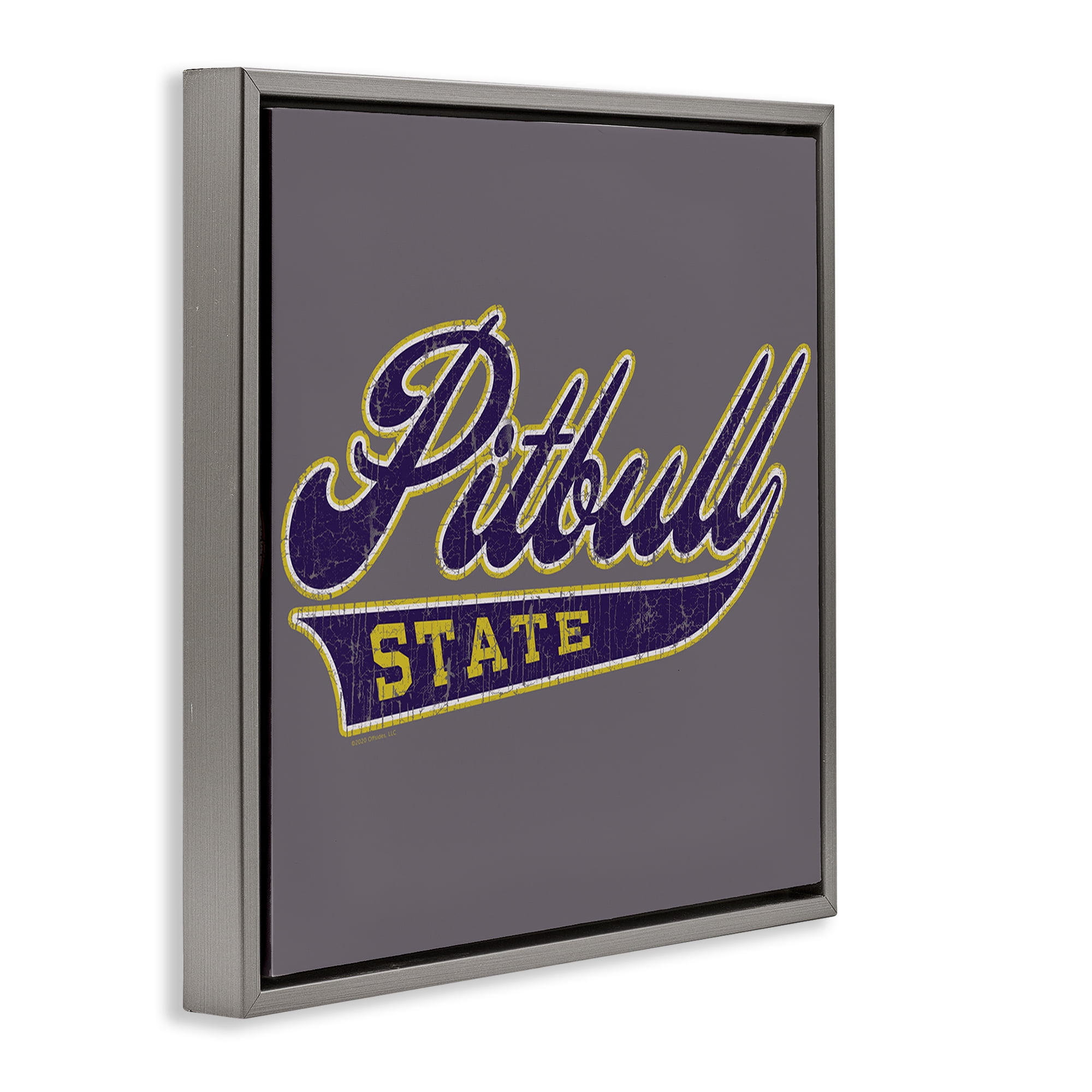 Stupell Industries Varsity Style Pitbull State Novelty & Humor Painting Gray Floater Framed Canvas Art Print Wall Art, 18 x 18