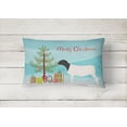 thumbnail image 2 of Carolines Treasures BB9345PW1216 Dorper Sheep Christmas Canvas Fabric Decorative Pillow, Teal, 12H x16W, multicolor, 2 of 3