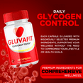 thumbnail image 4 of Gluvafit Capsules Advanced Formula Glyco Suppport for Health and Fitness 60 Capsules, 4 of 7