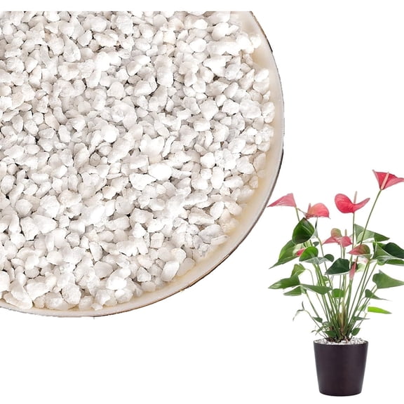 Bexikou Organic Perlite Potting Mix Soil, 3 qt 3-6 mm Horticultural Organic Perlite, Organic Perlite Soil Amendment,Natural Potting Soil Mix for Enhanced Drainage and Growth, Ideal for Potting Mixes