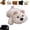 C, variant on Magnetic Plush Cat Car Decor, Cute Magnetic Cat Car Decoration, for Car Exterior, Cute Magnetic Decoration for Dashboard, Side Mirror, Refrigerator, Locker, Funny Animal Lover Gift for,A