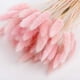 thumbnail image 4 of 50 piezas de decoración del hogar, ramos de hierba de cola de conejo, flores secas,flor eterna, ramo de flores de hierba seca, accesorios para fotos, fiesta en casa y bodaLake BluePink brillar Juguete, 4 of 4