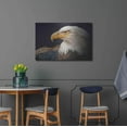 thumbnail image 4 of Luxe Metal Art 'Bald Eagle Study' by Chris Vest, Metal Wall Art, 36"x24", 4 of 7
