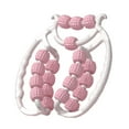 thumbnail image 1 of 20 ruedas Fascia Relax Roller rodillo puntos de presión Manual brazo pierna cuerpo Rosa, 1 of 8