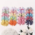 thumbnail image 2 of CHUANK 20pcs Cute & Sweet Hair Accessory Set - Colorful Floral & Bow Clips for Girls and Women, 2 of 6